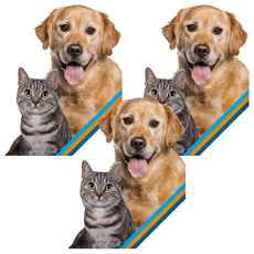 MORESON 木入森 犬貓用 高EPA寵物魚油, 30顆, 3盒