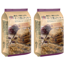 Global Premium Resources 葡萄乾&巧克力風味燕麥餅, 88g, 2個