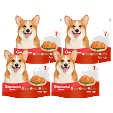 Perfecta 成犬軟飼料, 1kg, 4個, 鮭魚口味