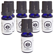 Bio-matrix 百翠氏 艾草純精油, 15g, 10ml, 6瓶