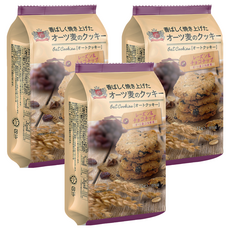 Global Premium Resources 葡萄乾&巧克力風味燕麥餅, 88g, 3個