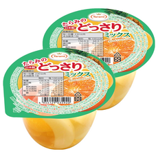 Tarami 達樂美 果凍杯 什錦水果, 230g, 2個