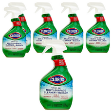 CLOROX 高樂氏 萬用強效去污漂白清潔劑, 709ml, 6個