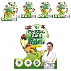 護森 康普茶複方乳酸菌粉包 綜合水果茶風味, 10包, 15g, 6盒