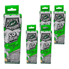 Turtle Wax 美國龜牌 卡通先生 車內清新除臭噴霧 強力消臭 54227, 5個, 57g