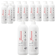 DR BANGGIWON 強健髮根護髮乳, 1L, 6瓶