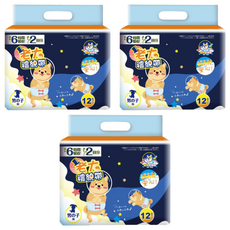 寵物星樂園 寵物狗尿布 老大禮貌袋, M, 12片, 3包