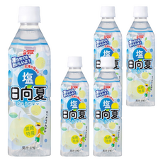 農協 鹽日向夏風味冰沙凍飲, 490ml, 5個