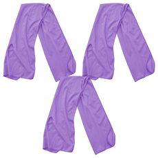 Amiss 機能感 運動涼感巾 台灣製, 薰衣草紫, 3條