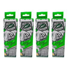 Turtle Wax 美國龜牌 卡通先生 車內清新除臭噴霧 強力消臭 54227, 4個, 57g