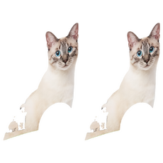 all for paws 清新系列 竹萃三效混和砂, 2個, 4.5kg, 無香