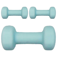 MICHAEL FITNESS 麥克健身 鑄鐵啞鈴 藍色, 3kg, 3個