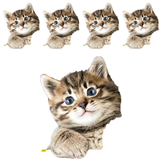 A-Star 貓專用柴魚雞肉丁, 5個, 雞肉, 40g