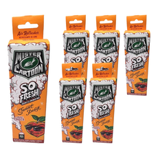 Turtle Wax 美國龜牌 卡通先生 車內清新除臭噴霧 日落蜜桃 54228, 6個, 57g