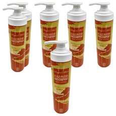 Jenduoste 珍朵絲特 龍血求麗 頭皮修護洗髮精, 500ml, 6瓶
