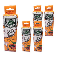 Turtle Wax 美國龜牌 卡通先生 車內清新除臭噴霧 日落蜜桃 54228, 5個, 57g