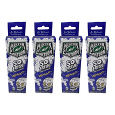 Turtle Wax 美國龜牌 卡通先生 車內清新除臭噴霧 午夜清新 54229, 4個, 57g