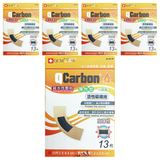 芊城 親水性敷料 滅菌 彈性型 13片, 5個