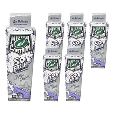 Turtle Wax 美國龜牌 卡通先生 車內清新除臭噴霧 新車香味 54226, 6個, 57g