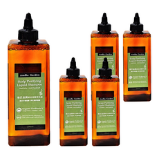 Amma Garden 艾瑪花園 菊苣益菌頭皮深層淨化液, 250ml, 5瓶