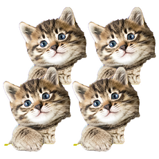 A-Star 貓專用柴魚雞肉丁, 4個, 雞肉, 40g