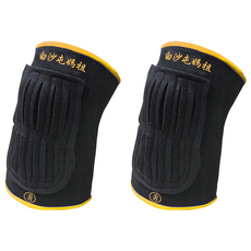 SUCCESS 成功 白沙屯媽袓護膝, 2個