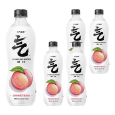 CHI FOREST 元氣森林 白桃風味氣泡水, 480ml, 5瓶