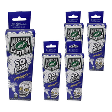 Turtle Wax 美國龜牌 卡通先生 車內清新除臭噴霧 午夜清新 54229, 5個, 57g