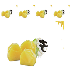 ROYAL FAMILY 皇族 芒果凍, 5個, 500g