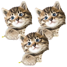 A-Star 貓專用柴魚雞肉丁, 3個, 雞肉, 40g