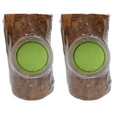 甲蟲單孔果凍皿 圓棒型 A-A114, 單一顏色, 2個