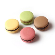 Livingif 馬卡龍造型磁鐵 1組, 直徑2.5cm, 彩色