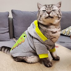 寵物可愛拉鍊連帽T恤 PRDP033, 鱷魚灰, 1個