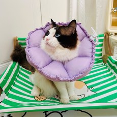 PASTEL PET 寵物柔軟花朵頸圈, 紫色, 1個