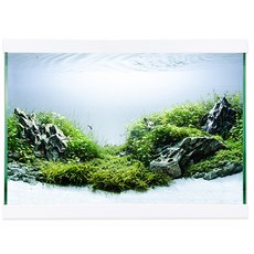 Mobydick 36 纖薄 現代 魚缸 + 蓋子, 1組, 白色的