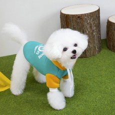 PASTEL PET 寵物圖案撞色連帽T恤, 綠色, 1個