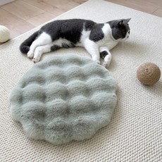 데이소이 고양이 럭셔리 쿠션 원형, 10그린, 1개