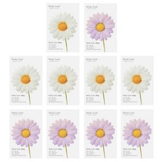 Appree Sticky Leaf 雛菊基本款便利貼 S號 2入組, White + Purple, 5套