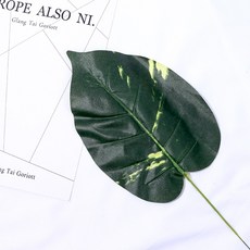 Store91 尤加利葉 拍攝道具 H, 混合顏色, 1個