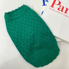 Caniche 狗狗蠟筆網眼圓領針織衫, 綠色