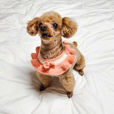 yarna 해피코튼 러플 케이프 배색 DIY패키지 + 바늘 부자재 세트, 1세트, 코랄