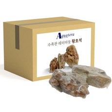 아쿠아테라 수족관 레이아웃 황호석 천기석, 1개