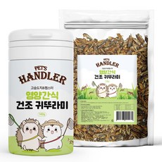 펫츠핸들러 고슴도치 햄스터 건조 귀뚜라미 영양간식 용기 140g + 리필 130g 세트, 1세트