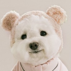 펫츠랜드 반려동물 몽글베어 모자, 라이트핑크, 1개