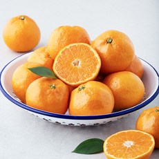 탑문주왕 당도선별 11brix 감귤, 2kg(대과), 1박스