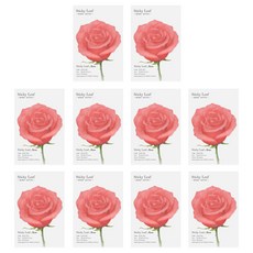 Appree Sticky Leaf 玫瑰基本便利貼 S, 紅色, 10個, 1入