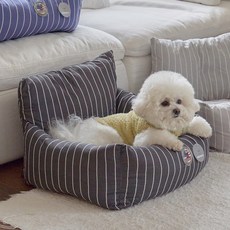 레드퍼피 반려동물 루미엘 카시트, 다크그레이, 1개