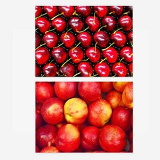 WEMODERN 水果室內裝飾海報 Sweet Land 櫻桃 + 李子