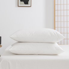 soonZAM 精選拉鍊式枕芯 2入, 白色的