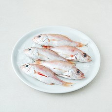 미감어보 국내산 손질 효온처리 통금태 (냉장), 1개, 300g(5미)